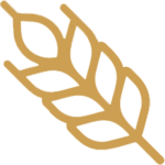 Farinha Integral e Açúcar Mascavo